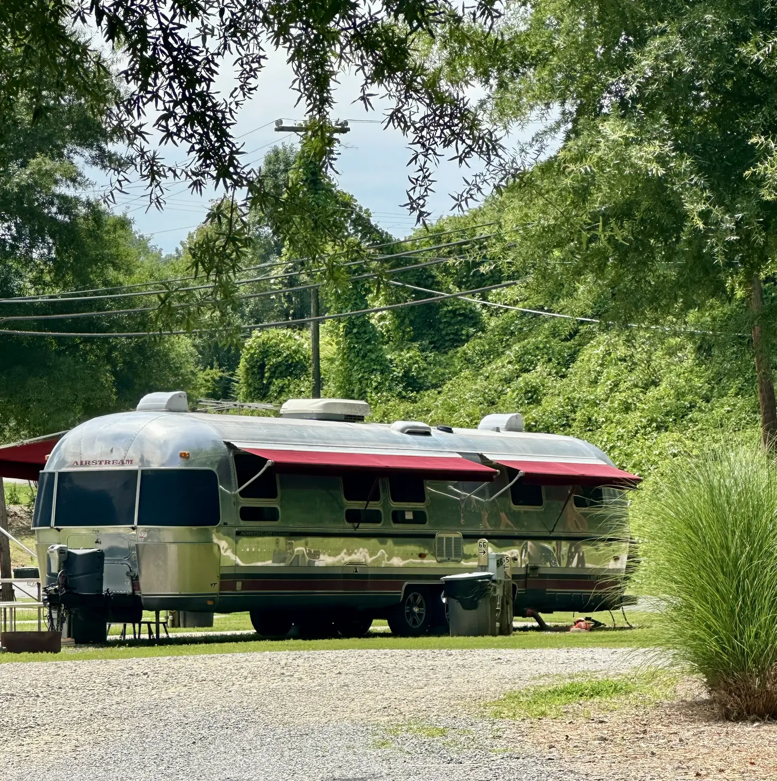 Airstream camper beneath the trees